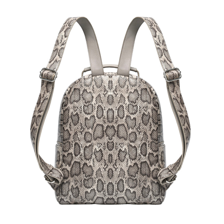 grey-snake