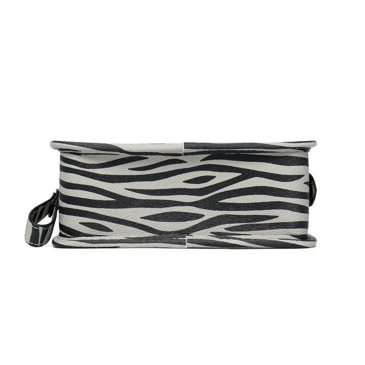 grey-zebra