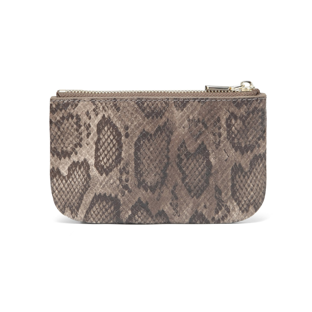 brown-snake