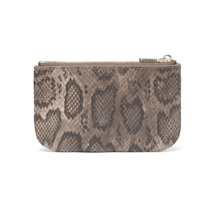 brown-snake