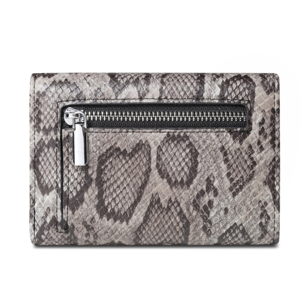 grey-snake