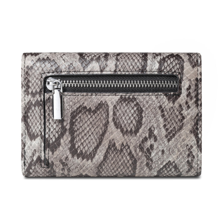 grey-snake